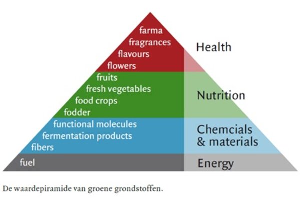 Waardepiramide groene grondstoffen.jpg