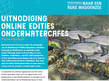 Online Onderwatercafés, leer meer over de Waddenzee