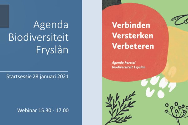 webinar biodiversiteit.png